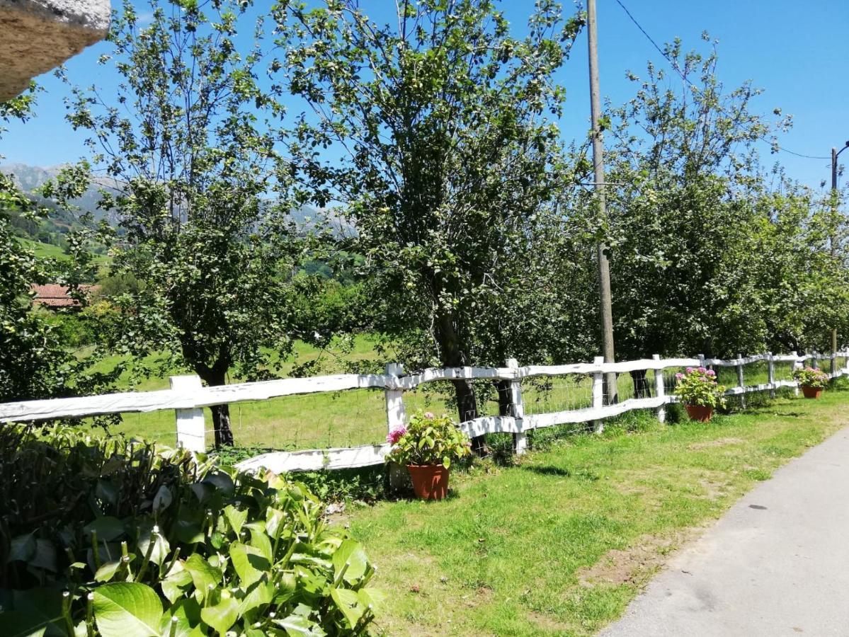 Cereceda  La Casa Nueva Alojamiento Rural מראה חיצוני תמונה