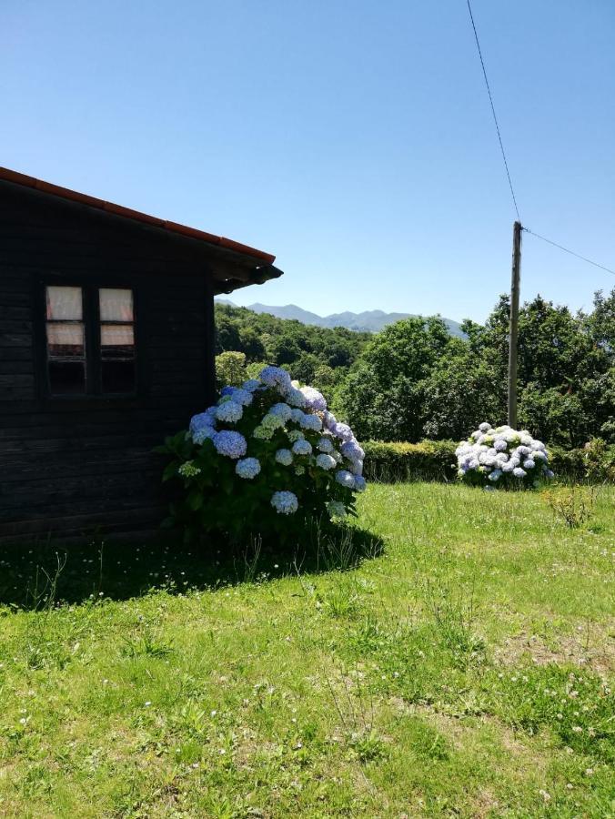 Cereceda  La Casa Nueva Alojamiento Rural מראה חיצוני תמונה
