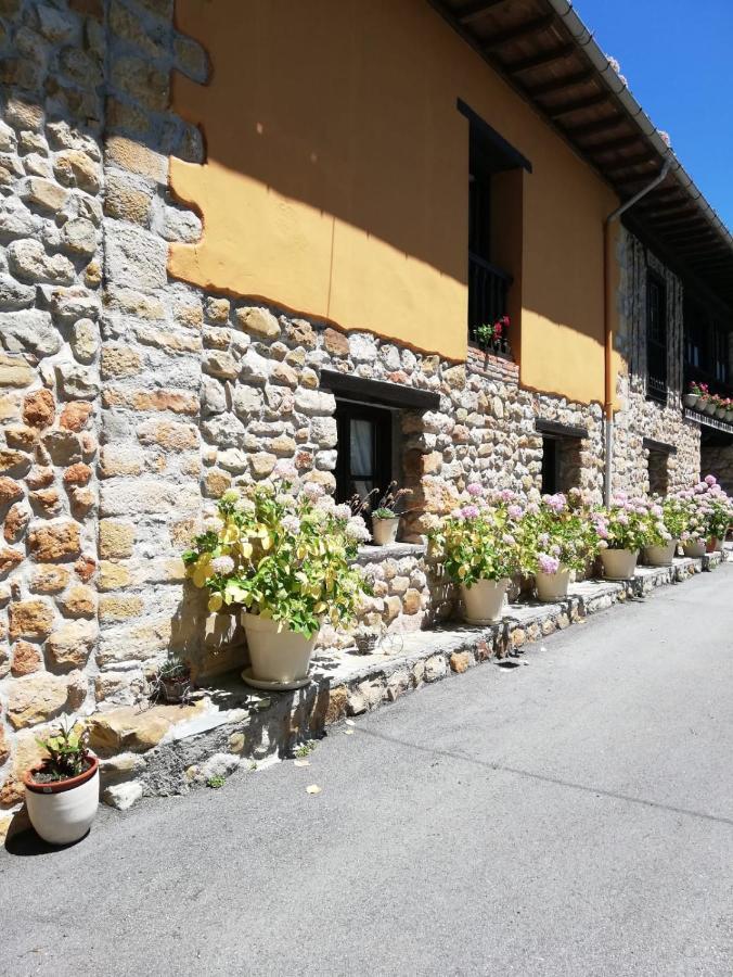 Cereceda  La Casa Nueva Alojamiento Rural מראה חיצוני תמונה