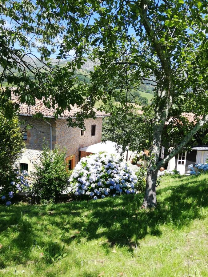 Cereceda  La Casa Nueva Alojamiento Rural מראה חיצוני תמונה