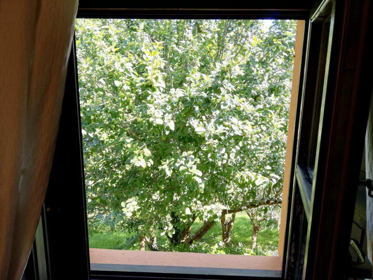 Cereceda  La Casa Nueva Alojamiento Rural מראה חיצוני תמונה