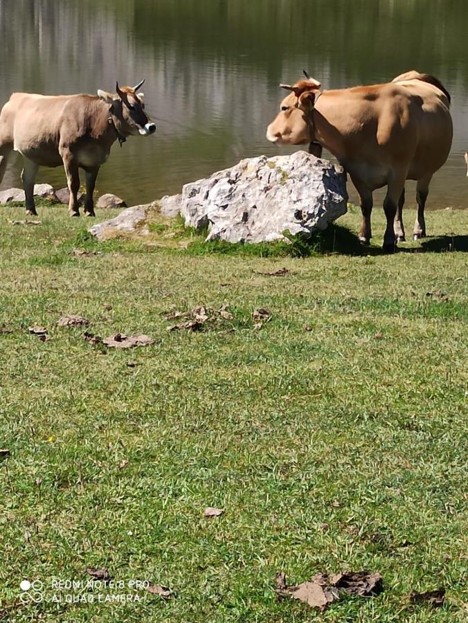 Cereceda  La Casa Nueva Alojamiento Rural מראה חיצוני תמונה