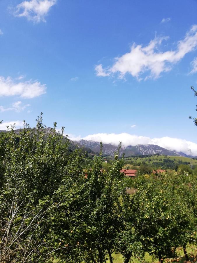 Cereceda  La Casa Nueva Alojamiento Rural מראה חיצוני תמונה